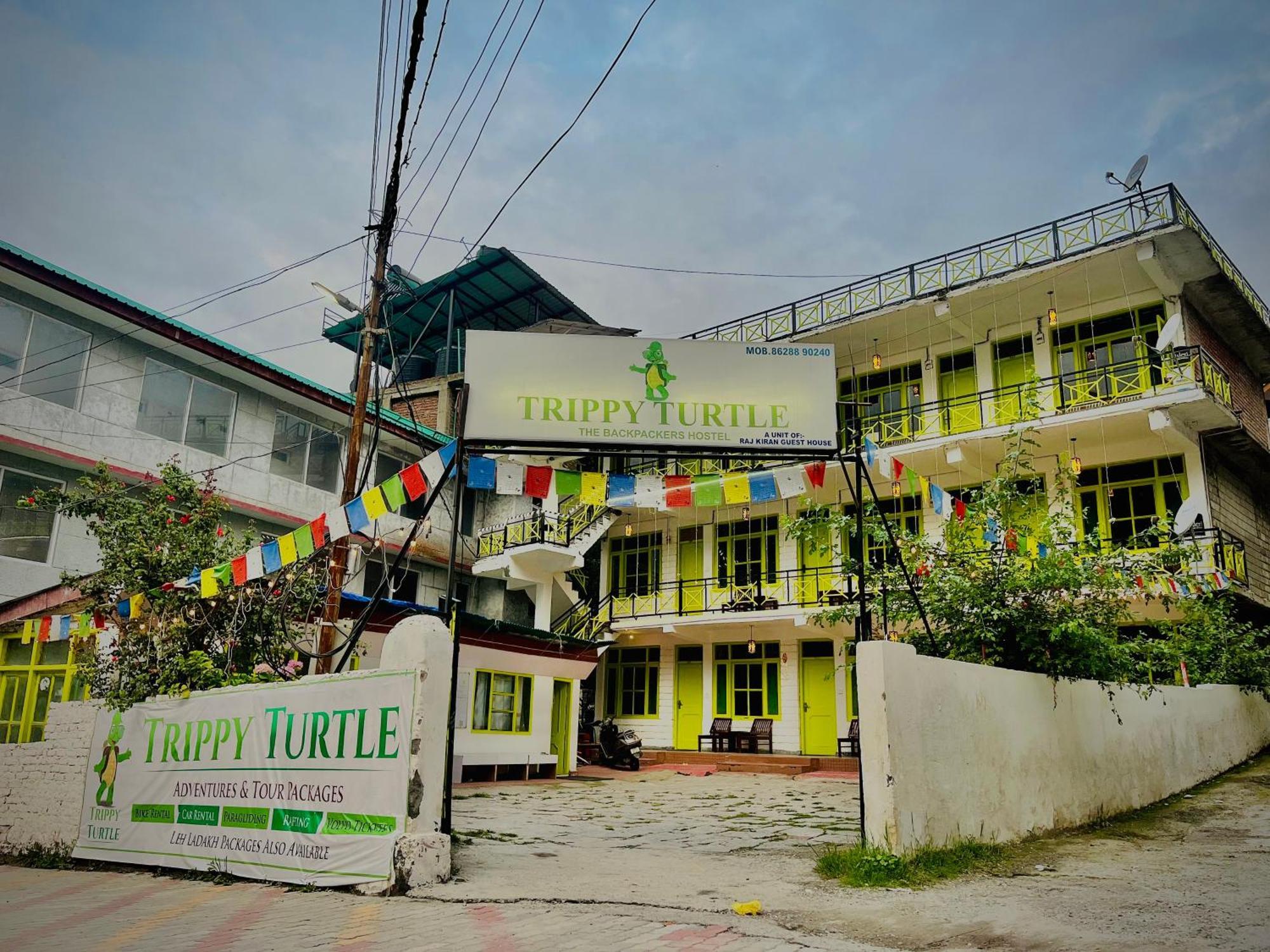 Trippy Turtle Hostel - Manali (Himachal Pradesh) — Photos 1
